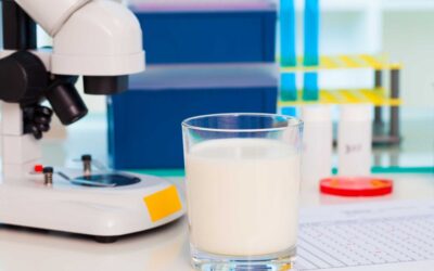 Zastosowanie inkubatorów do mleka