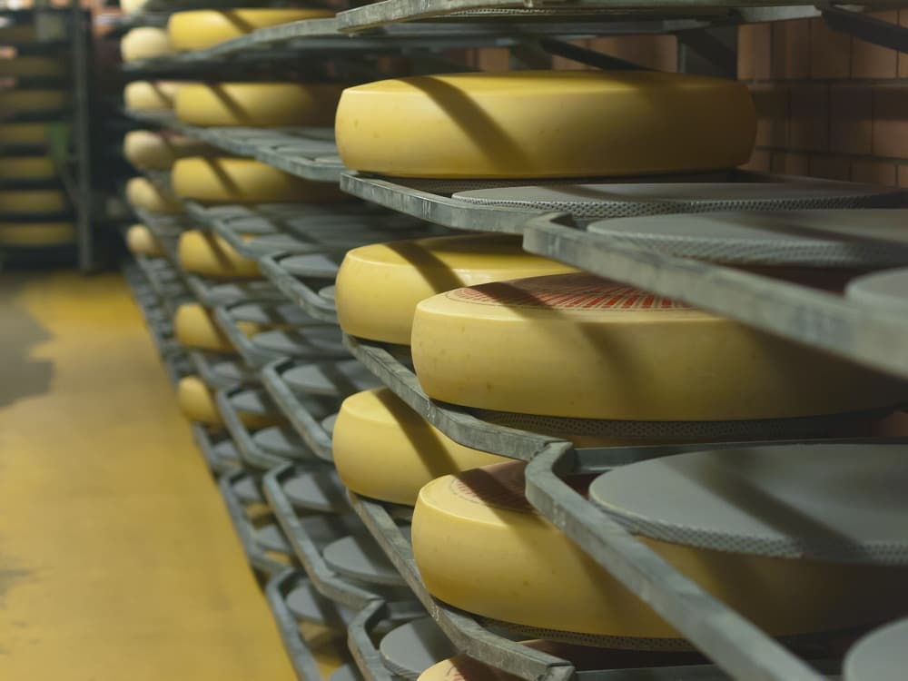 dojrzewanie sera dojrzewanie sera