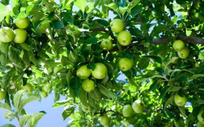 Witamy na blogu firmy Tomlab