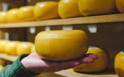 Jakie zadania spełniają powłoki serowarskie?