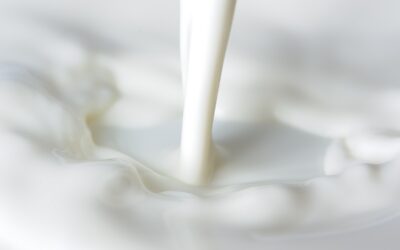 Jak działa inkubator do mleka?