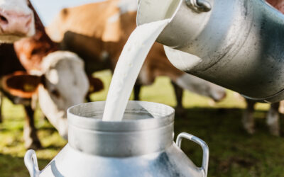 Jakie zastosowanie mają testy ATP w przemyśle nabiałowym?