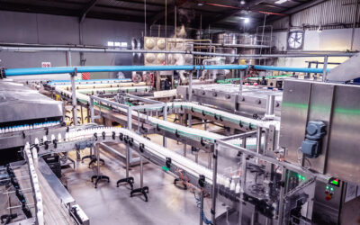 Do czego służy luminometr?