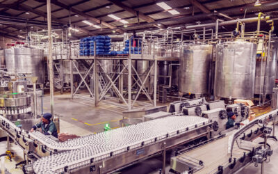 Jak należy przechowywać testy ATP?