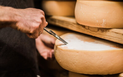 Na czym polega działanie szczepionek do sera?