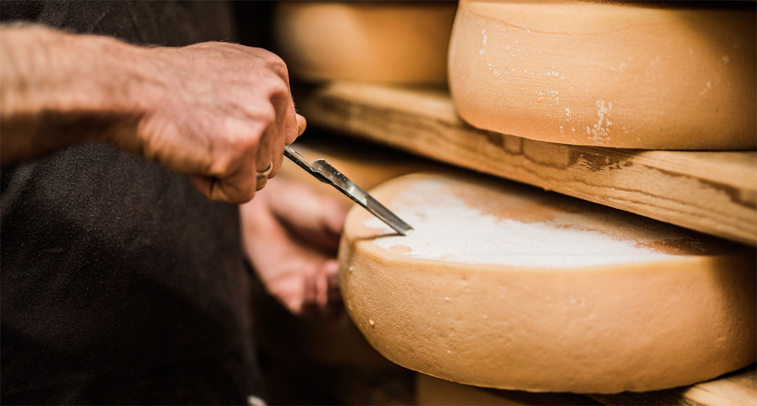 Na czym polega działanie szczepionek do sera?