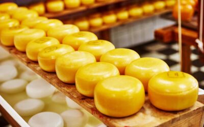 Jak nakłada się powłoki serowarskie?