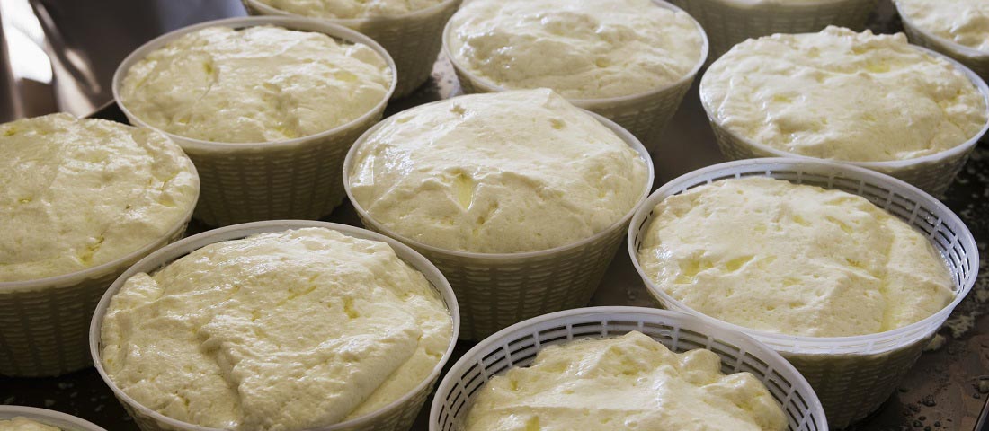 Jak powstaje ricotta