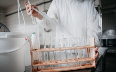 Jakie testy są stosowane do wczesnego wykrycia zakażenia mleka UHT?