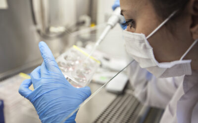 Na czym polega i do czego służy Charm Test?