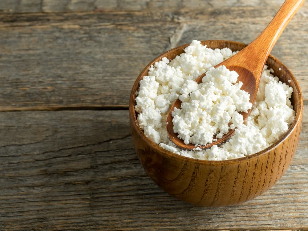 kultury bakterii w twarogach