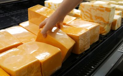 Po czym poznać jakość sera?
